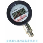 數(shù)字壓力表